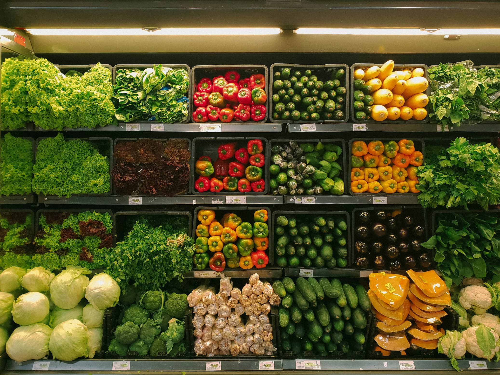 Organic & Grocery Store